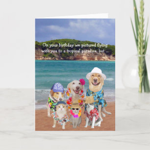 Funny Pets Tropical Paradise Birthday Kort
