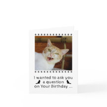 Funny Photo Cat Hund Pet Birthday Card