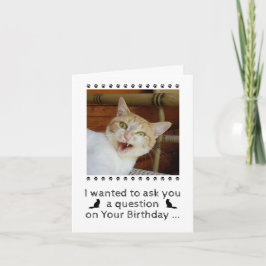 Funny Photo Cat Hund Pet Birthday Card Kort