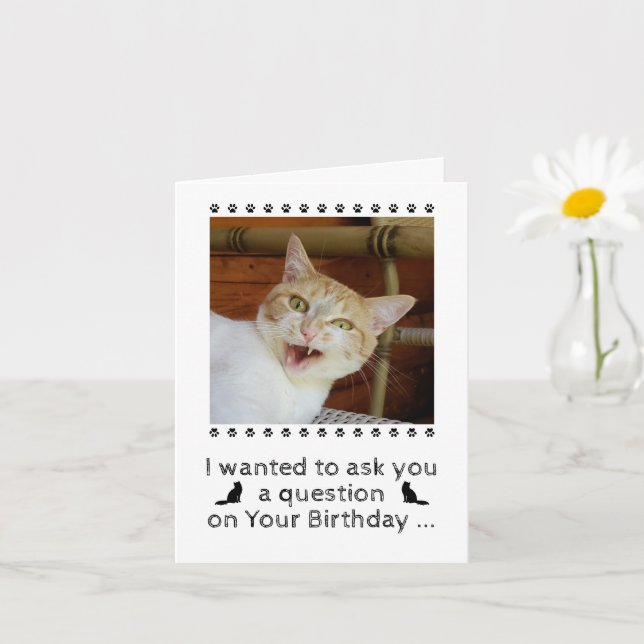 Funny Photo Cat Hund Pet Birthday Card Kort (Liten växt)