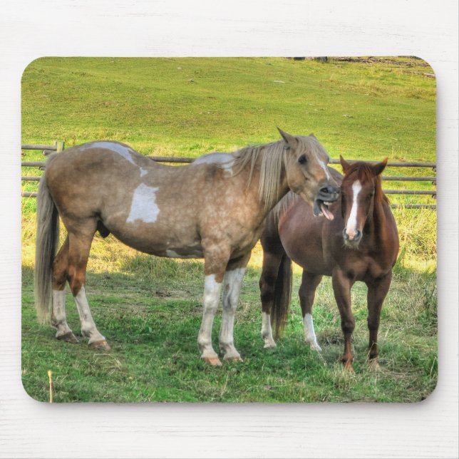 Funny Pinto Stallion & Sorrel Mare Horse Friends 2 Musmatta (Framsidan)