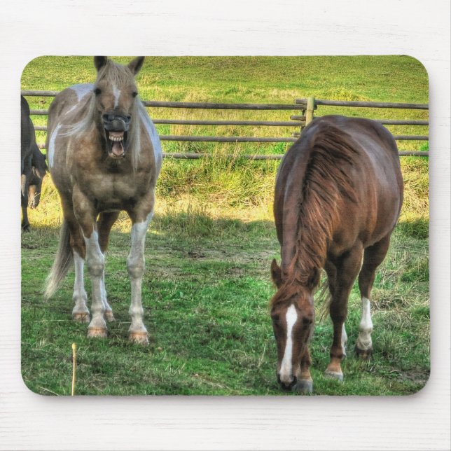 Funny Pinto Stallion & Sorrel Mare Horse Friends Musmatta (Framsidan)