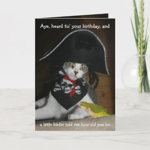Funny Pirat Cat Kort