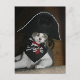 Funny Pirat Cat Vykort