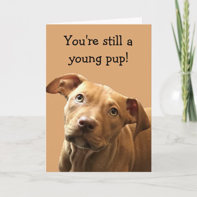 Funny Pitbull Puppy Birthday Card Kort (Framsida)