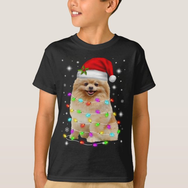 Funny Pommern Hund Santa Hat jul Ljus Lo T Shirt (Framsida)