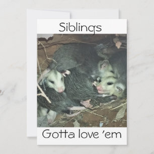 Funny Possum Syskon Julkort