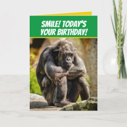 Funny Pouting Chimpanzee som Grumpy Old Man Kort