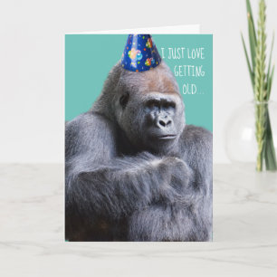 Funny Pouting Gorilla Kärlek som skaffar gammal Sa Kort