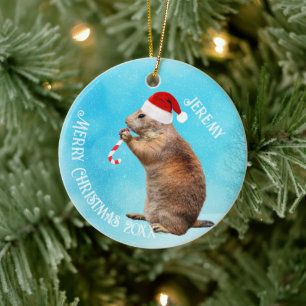 Funny Prairie Hund i Santa Hat Julgransprydnad Keramik
