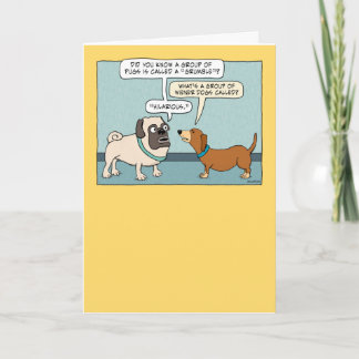 Funny Pug and Dachshund Birthday Card Kort