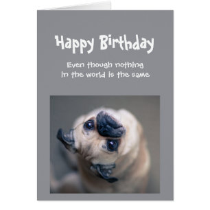 Funny Pug Hund Social Avstånd födelsedagen Hälsningskort