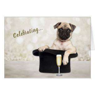 Funny Pug Hund som firar födelsedagskort Hälsningskort