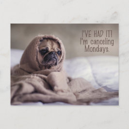 Funny Pug Hund vykort