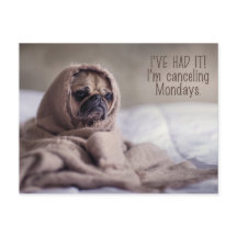 Funny Pug Hund vykort