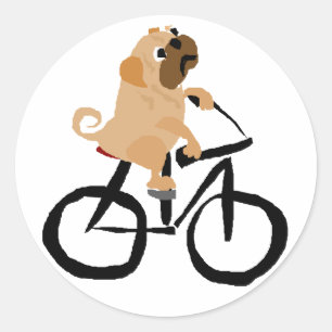 Funny Pug Puppy Hund Riding Bicycle Runt Klistermärke