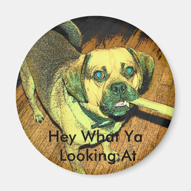 Funny Puggle Hund Magnet (Framsidan)