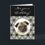 Funny Pugs & Kisses Birthday Pug, Pet Hund Kort<br><div class="desc">Underbart födelsedagskort som ska anpassas för dem som kärlekar Pugs,  Pet Hund</div>