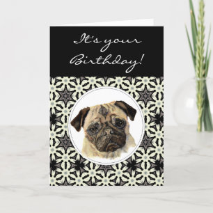 Funny Pugs & Kisses Birthday Pug, Pet Hund Kort