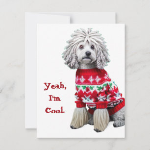 Funny Puli i Ugly Sweater-julkort Julkort