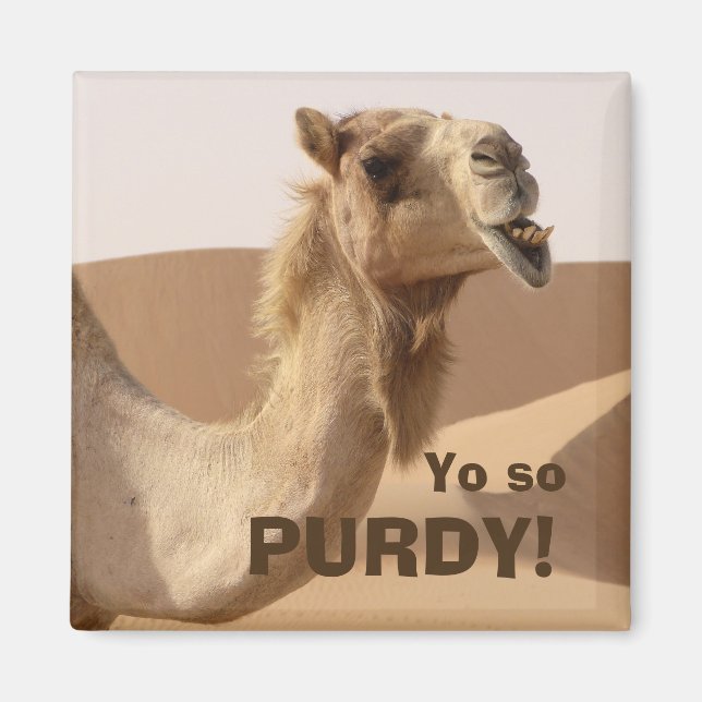 Funny Purdy Camel Photo Magnet (Framsidan)