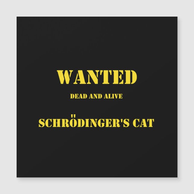 Funny Quantum Joke: Schrödinger’s Cat on the Loose (Framsida)