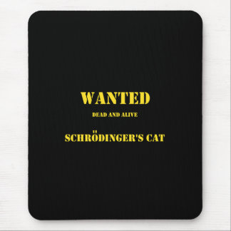Funny Quantum Joke: Schrödinger’s Cat on the Loose Musmatta