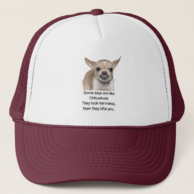 Funny Quote about Life with Chihuahua Dog Keps (Framsida)