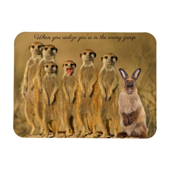 Funny Rabbit Meerkat Magnet (Horisontell)