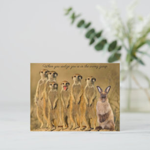 Funny Rabbit Meerkat-vykort Bild Helg Vykort