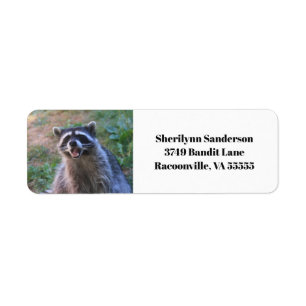 Funny Raccoon Photograph Returadress Etikett