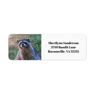 Funny Raccoon Photograph Returadress Etikett