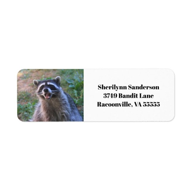 Funny Raccoon Photograph Returadress Etikett (Framsidan)