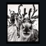 Funny Reindeer Selfie Christmas  Poster<br><div class="desc">Funny Reindeer Selfie Christmas</div>