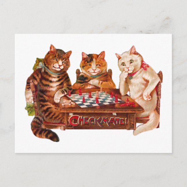 Funny Retro Cats Checkmate spelar schess 1903 Vykort (Framsida)