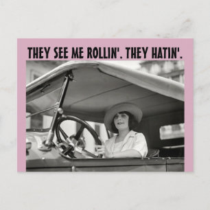 FUNNY RETRO HOUSEWIFE DE SER MIG ROLLIN Postcards Vykort