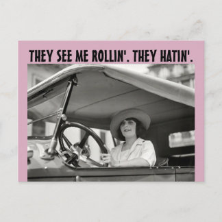 FUNNY RETRO HOUSEWIFE DE SER MIG ROLLIN Postcards Vykort