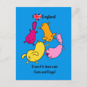 Funny Rining Cats and Hundar tecknad, kärlek Londo Vykort