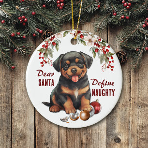 Funny Rottweiler Valp Define Naughty jul Julgransprydnad Keramik