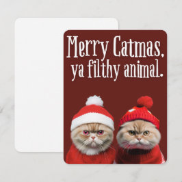 Funny Santa Cats Holiday Greeting Julkort