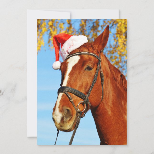 Funny Santa Hat Horse jul Julkort (Framsida)