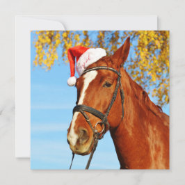 Funny Santa Hat Horse jul Julkort