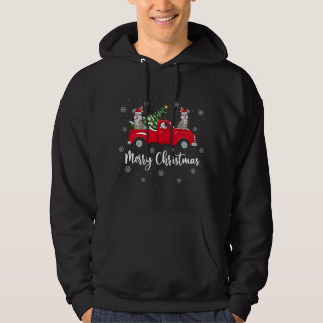 Funny Santa Riding Julgran Lastbil Bunny Chri Hoodie (Framsida)