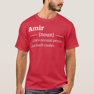 Funny Sarcastic Amir T Shirt