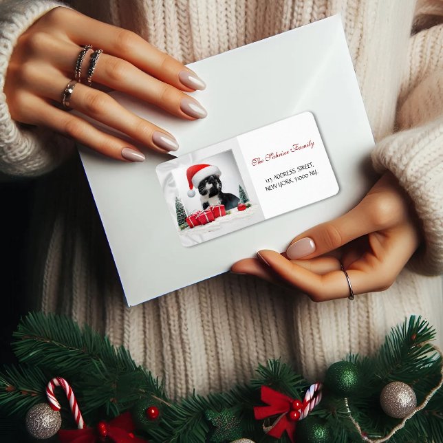 Funny Sarcastic Cat Santas Hjul Adress Adressetikett (Skapare uppladdad)