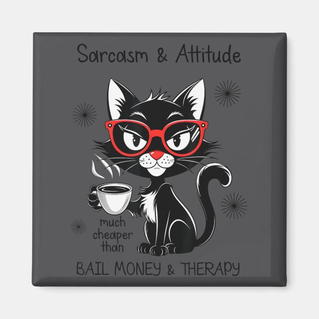 Funny Sarcastic Rude Sayings Sarcasm And Attitude  Magnet (Framsidan)