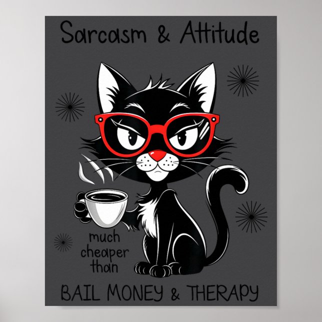 Funny Sarcastic Rude Sayings Sarcasm And Attitude  Poster (Framsidan)