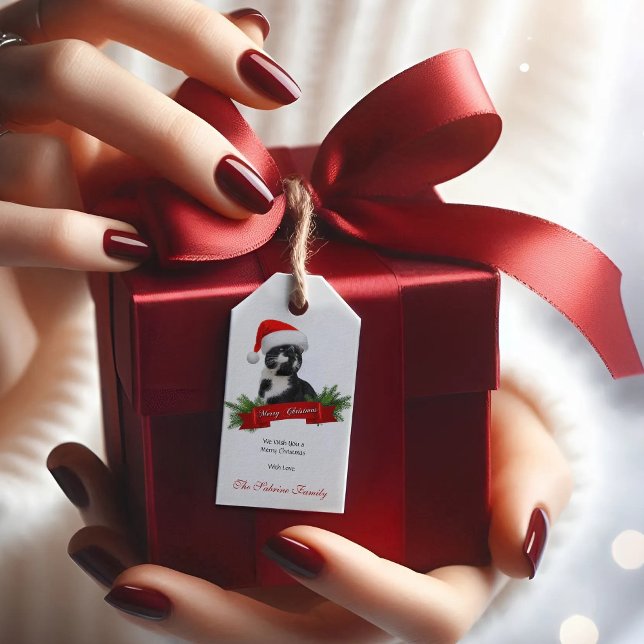 Funny Sarkastic Cat Santas Hat Juletiketter Presentetikett (Skapare uppladdad)