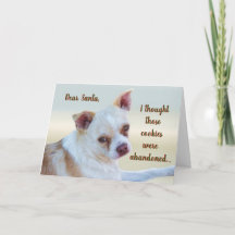 Funny Sassy Naughty Mutt Dog Humor julkort