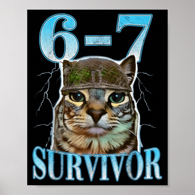 Funny Saying 67 Cats Tummy Ache Survivor Cat Meme  Poster (Framsidan)